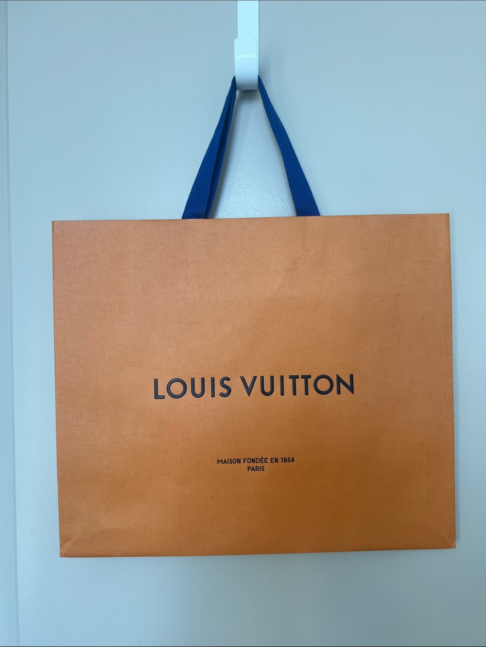 Louis Vuitton Shopping Bag